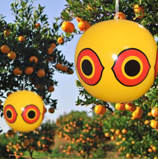 �(q��)�B����